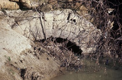 Rome antique, période archaïque : vue depuis l