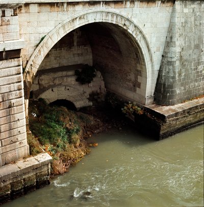 Rome antique, période archaïque : vue depuis l