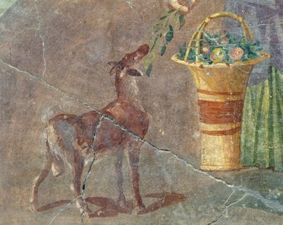 Chèvre et panier de fruits, fresque de Pompéi, Campanie, Italie, civilisation romaine - Roman