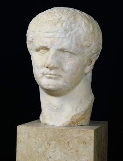 Tête de Titus (39-81) - Roman