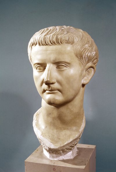 Tête de l