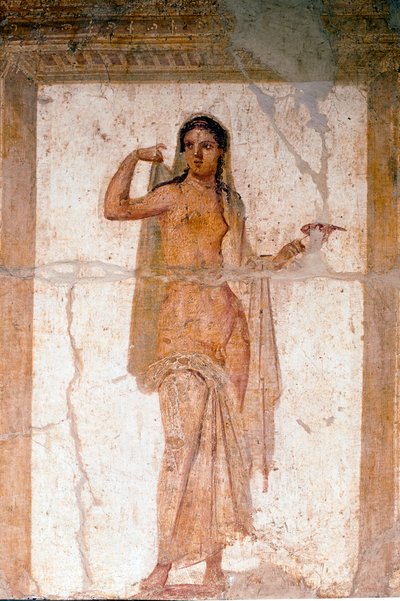 Hermaphrodite (fresque) - Roman