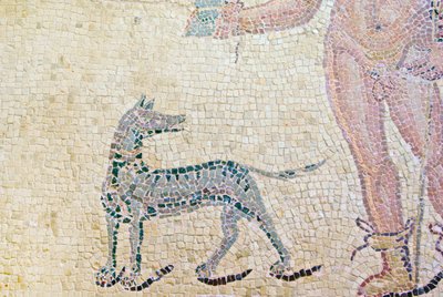 Hippolyte et Phèdre, (détail) du chien d