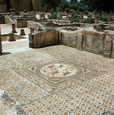 Vestiges des mosaïques de la ville romaine - Roman