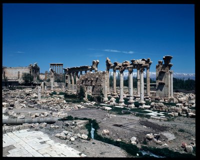 Vestiges du site - Roman