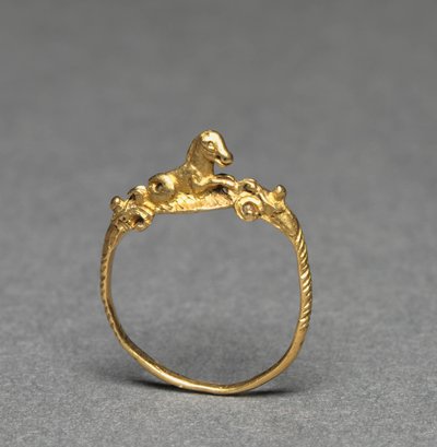 Bague - Roman