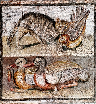 Mosaïque romaine représentant un chat sauvage attrapant une perdrix et deux canards - Roman