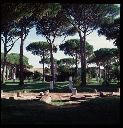 Art romain : vue des ruines du macellum (Place du Marché) site archéologique d