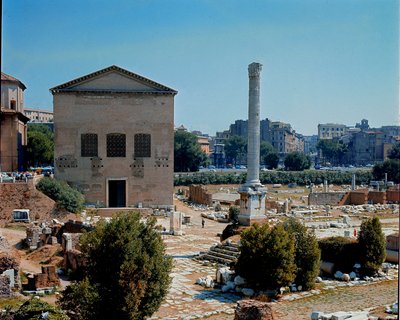 Forum romain : vue de la Curie, lieu de réunion du Sénat - Roman