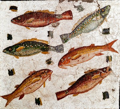 Art romain : mosaïque représentant des poissons. 1er siècle av. J.-C. Rome, Museo Nazionale Romano - Roman