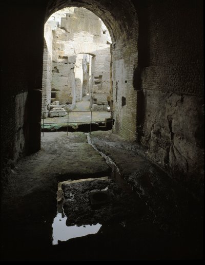 Art romain : vue des passages souterrains du Colisée à Rome - Roman