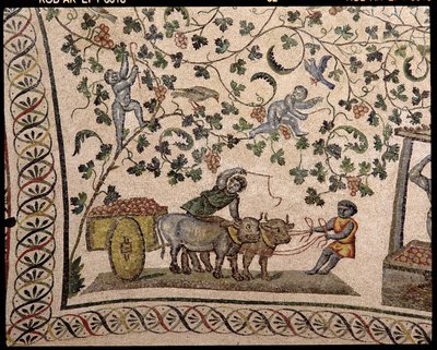 La Récolte des Raisins (mosaïque) - Roman