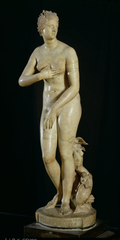 La Vénus de Médicis, copie de l