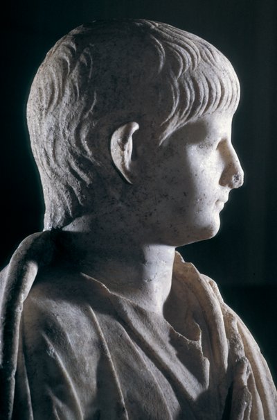 Statue togée du jeune Néron, vue latérale de la tête, vers 50 après J.-C. (marbre) (détail) - Roman