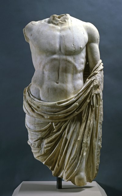 Torse d