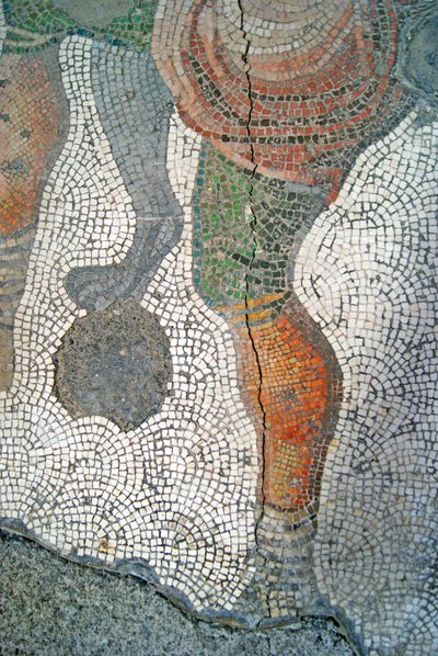 Image inconnue - Roman
