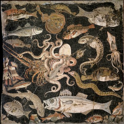 Créatures sous-marines, copie d