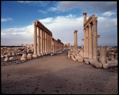 Vue de la grande colonnade et de l
