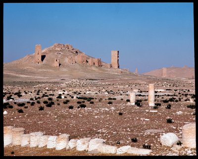 Vue des tours-tombes de Iamblichus et Elahbel - Roman