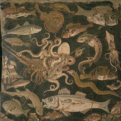 Animaux aquatiques, combat entre une pieuvre et un homard - Roman