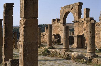 Cardo et entrée du marché de Cosinius, Haut Empire (27 av. J.-C.-395 apr. J.-C.) - Roman Imperial Period