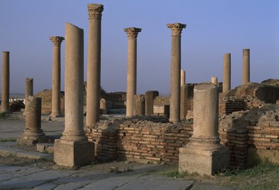 Vue de la Bibliothèque, c.100 AD, Période Impériale Haute (27 BC-395 AD) - Roman Imperial Period