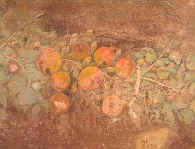 Détail de fresque avec décoration de fleurs et de fruits, Villa romaine de Boscoreale (Naples), Civilisation romaine - Roman Roman