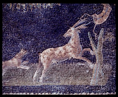 Détail des mosaïques murales du nymphée de la casa di Nettuno e Anfitrite - Roman Roman