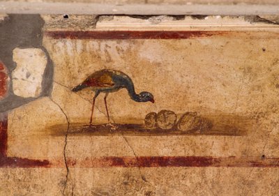 Fresque représentant un oiseau du péristyle dans la Maison de Caius Julius Polybius, Pompéi (Liste du patrimoine mondial de l
