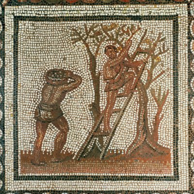 Récolte des olives (mosaïque) - Roman Roman
