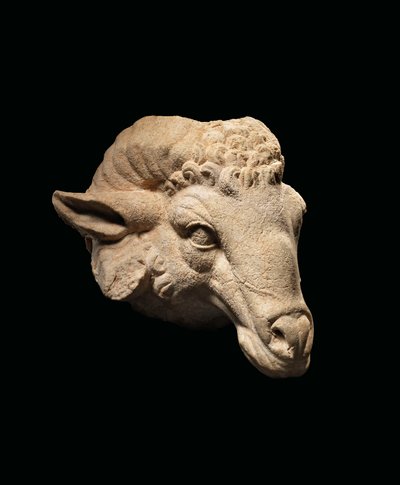Tête de bélier, c.1er siècle av. J.-C. - 1er siècle apr. J.-C. - Roman Roman