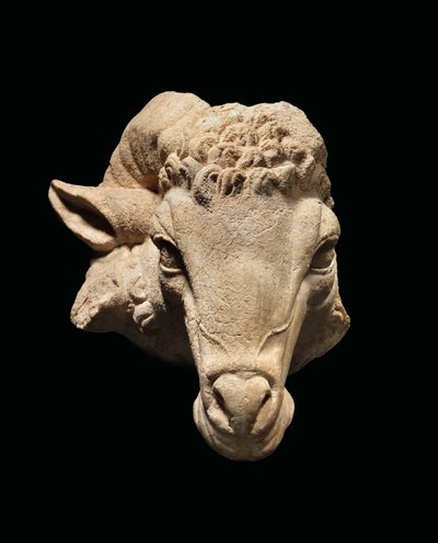 Tête de bélier, vers 1er siècle avant JC - 1er siècle après JC - Roman Roman