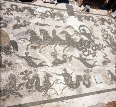 Ostie : mosaïque des Thermes de Neptune - Roman Roman