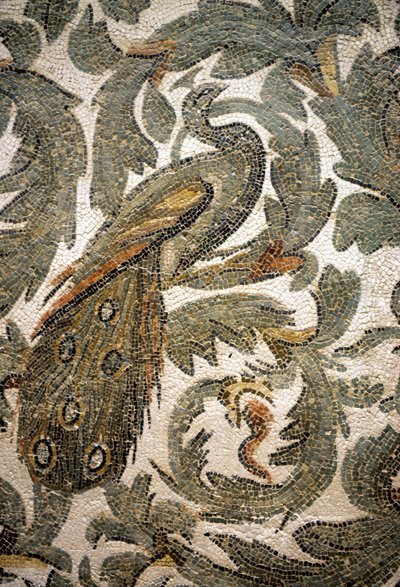 Paon, Détail de Mosaïque - 4e siècle après J.-C., Musée du Bardo, Tunis - Roman Roman