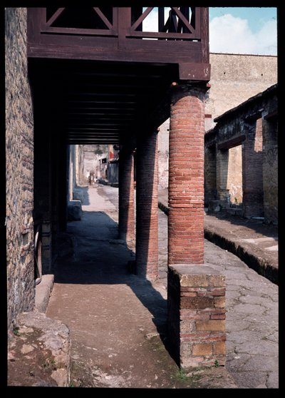 Rue, 5ème siècle av. J.-C.-1er siècle apr. J.-C. - Roman Roman