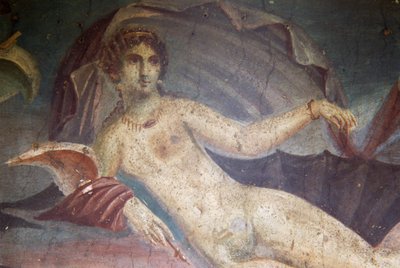 Vénus dans une coquille, détail de la fresque du péristyle, Maison de Vénus dans la Coquille, Pompéi (Liste du patrimoine mondial de l