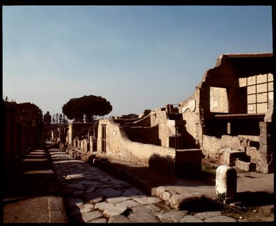 Vue du Decumanus Maximus, Ve siècle av. J.-C.-Ier siècle apr. J.-C. - Roman Roman