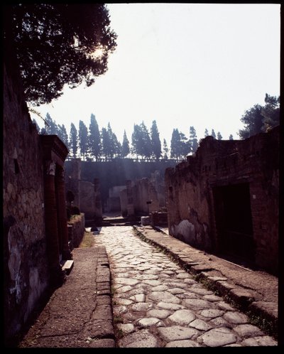 Vue du cardo V, Ve siècle av. J.-C.-Ier siècle après J.-C. - Roman Roman