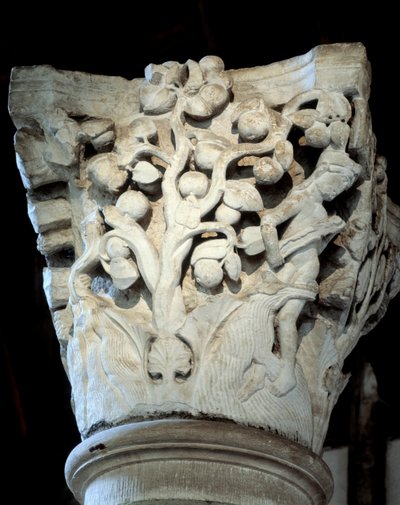 Paradis : un figuier et un pommier, chapiteau du chœur (sculpture) - Romanesque