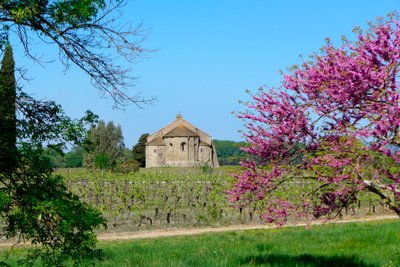 Chapelle romane Saint-Étienne de Vaissière à Azille (photographie) - Romanesque
