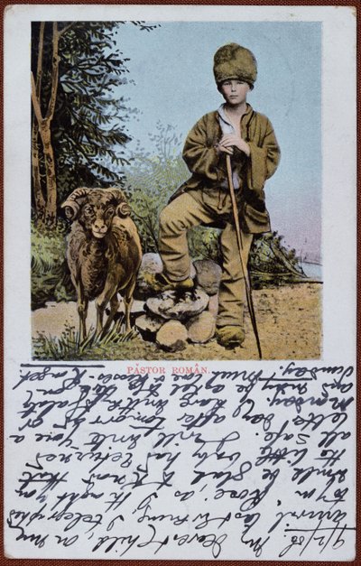 Carte postale représentant un jeune berger roumain, c.1906 - Romanian School