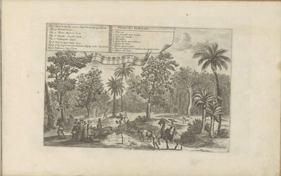 Arbres et épices - Romeyn de Hooghe