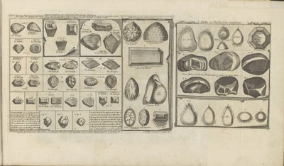 Diamants, rubis et perles - Romeyn de Hooghe