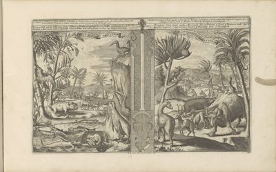 Animaux des Indes occidentales - Romeyn de Hooghe