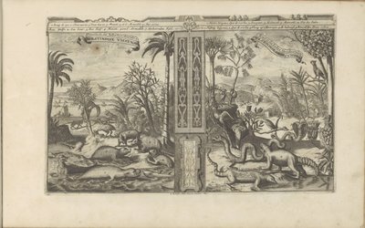 Animaux des Indes occidentales - Romeyn de Hooghe