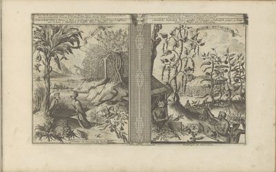 Plantes, oiseaux et champs de poivre - Romeyn de Hooghe