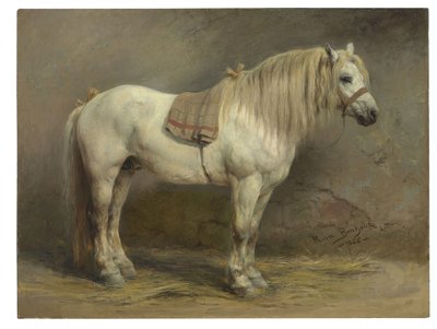 Un cheval blanc - Rosa Bonheur