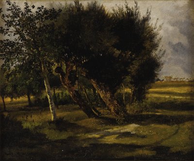 Bouquets d