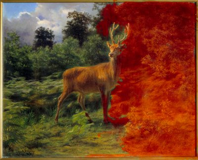 Cerf écoutant le vent - Rosa Bonheur