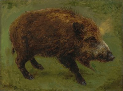 Français :  Le sanglier Wild boar - Rosa Bonheur